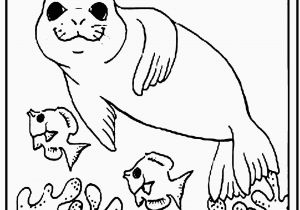 Kids Coloring Pages Ocean New Coloring Pages Free Printable Animal Unique Ocean
