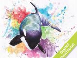 Killer Whale Wall Murals orca Whale Wall Decal Killer Whale Wall Decal orca Whale