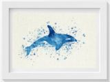 Killer Whale Wall Murals Pinterest