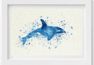 Killer Whale Wall Murals Pinterest