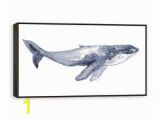 Killer Whale Wall Murals "humpback Whale Youth" by Lot26 Studio Framed Printed Canvas Wall Art