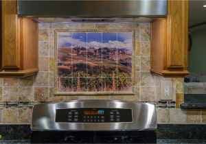 Kitchen Stove Backsplash Murals Of Mosaic Tile Mural Backsplash Ecwrzoo Backsplash