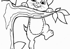 Kitten Coloring Pages to Print for Free Free Printable Kitten Coloring Pages for Kids Best