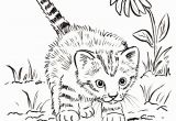 Kitten Coloring Pages to Print for Free Kitten Coloring Pages Best Coloring Pages for Kids