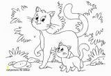 Kitty Cat Coloring Pages Cat to Colour Kitten Color Pages Elegant Kitty Cat Coloring