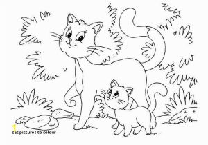 Kitty Cat Coloring Pages Cat to Colour Kitten Color Pages Elegant Kitty Cat Coloring