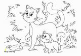 Kitty Cat Coloring Pages for Adults Kitty Coloring Kitten Color Pages Elegant Kitty Cat Coloring Pages