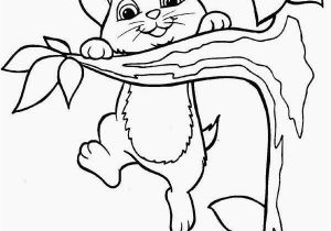 Kitty Cat Coloring Pages for Adults Pleasing Coloring Pages Cat for Adults Coloring Pages