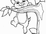 Kitty Cat Coloring Pages Free 23 Cat Dog Coloring Pages