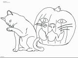 Kitty Cat Coloring Pages Free Cat Coloring Pages Gallery thephotosync