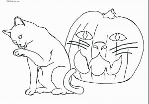 Kitty Cat Coloring Pages Free Cat Coloring Pages Gallery thephotosync