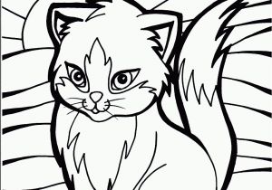 Kitty Cat Coloring Pages Printable Cat Coloring Pages