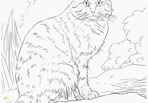 Kitty Cat Coloring Pages Printable Elegant Cat Coloring Pages Free Printable Awesome Cool Od Dog