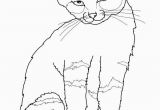 Kitty Cat Coloring Pages Printable Free Printable Cat Coloring Pages for Kids Inside Free Cute