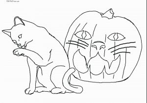 Kitty Cat Coloring Pages Printable Printable Kitty Coloring Pages Unique Cat Printable Coloring Pages