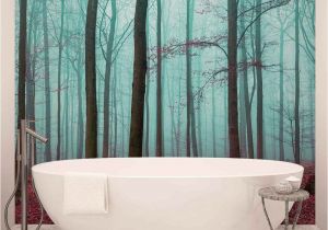 Komar Birch forest Wall Mural Details About Wall Mural Photo Wallpaper Xxl Nature Wood