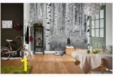 Komar Birch Wall Mural 34 Best Wall Murals Images