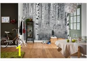 Komar Birch Wall Mural 34 Best Wall Murals Images