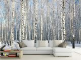 Komar Birch Wall Mural Cheap Mural Wallpaper 3d Buy Quality 3d Wallpaper Directly