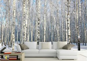 Komar Birch Wall Mural Cheap Mural Wallpaper 3d Buy Quality 3d Wallpaper Directly