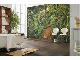 Komar Botanica Wall Mural Komar Nature Jungle Trail Wall Mural