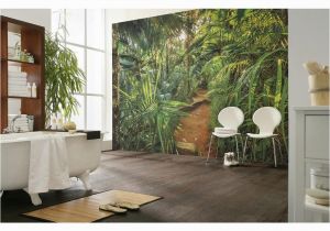 Komar Botanica Wall Mural Komar Nature Jungle Trail Wall Mural