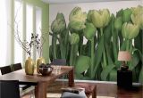 Komar Botanica Wall Mural Komar Tulips Horizontal Wall Mural 8 900