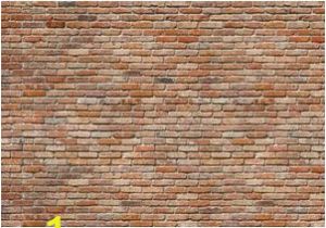 Komar Brick Wall Mural 8 741 Backstein Fototapeta Komar Imitace Cihlová ZeÄ