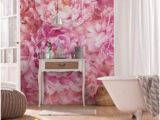 Komar Federstern Wall Mural 44 Best ÐÐµÐ Ð¸ÐºÐ¾Ð ÐµÐ¿Ð½ÑÐµ ÑÐ¾ÑÐ¾Ð¾Ð±Ð¾Ð¸ ÑÐ¸ÑÐ¼Ñ Komar Products Ð´Ð Ñ