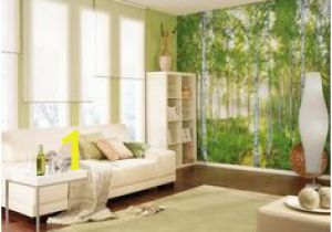 Komar National Geographic Wall Murals Die 16 Besten Bilder Von National Geographic Murals