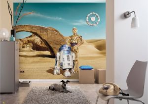 Komar National Geographic Wall Murals Fototapete Star Wars Lost Droids