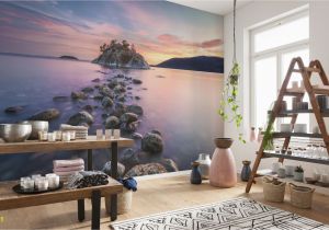 Komar National Geographic Wall Murals whytecliff