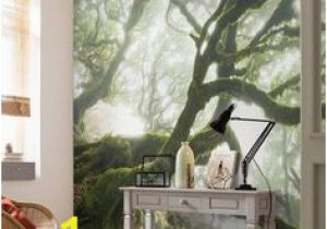 Komar Shades Wall Mural Die 15 Besten Bilder Von Inspiration