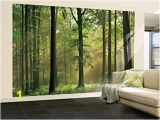 Komar Stone Wall Mural Amazon 100×144 Autumn forest Huge Wall Mural Art Home & Kitchen