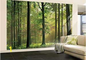 Komar Stone Wall Mural Amazon 100×144 Autumn forest Huge Wall Mural Art Home & Kitchen