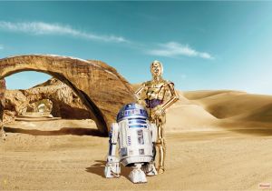 Komar Stone Wall Mural Wall Mural "star Wars Lost Droids" From Komar