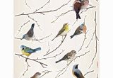 Komar Wall Mural Birds Komar Birds Wall Decal 15 Piece Set In 2019