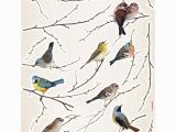 Komar Wall Mural Birds Komar Birds Wall Decal 15 Piece Set In 2019