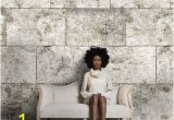 Komar Whitewashed Wood Wall Mural Brewster Home Fashions Komar Birch Wall Mural