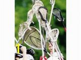 Lacrosse Mural 18 Best Lacrosse Images