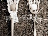 Lacrosse Mural 18 Best Lacrosse Images