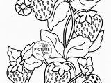 Ladybug Coloring Pages for Preschoolers Ladybug and Strawberries Coloring Page for Kids Fruits Coloring