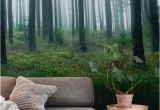 Lake In the Woods Wall Mural Lake In forest Wall Mural Wallpaper Landscapes