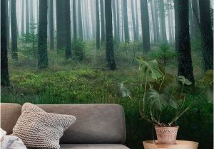 Lake In the Woods Wall Mural Lake In forest Wall Mural Wallpaper Landscapes