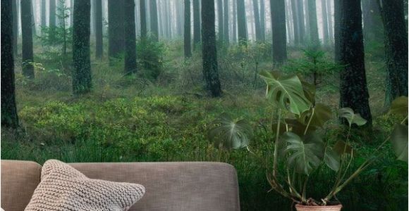 Lake In the Woods Wall Mural Lake In forest Wall Mural Wallpaper Landscapes