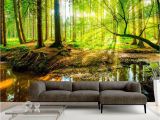 Lake Scene Wall Mural Vlies Fototapete Tapete Xxl Wandbilder Wald Natur Landschaft