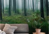 Landscape Wall Murals Wallpaper Lake In forest Wall Mural Wallpaper Landscapes