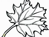 Large Fall Leaves Coloring Pages Autumn Leaf Coloring Pages Fall Leaf Coloring Page Draw Fall Leaves