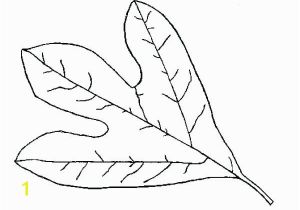 Large Fall Leaves Coloring Pages Fall Leaves Coloring Pages Printable Fall Leaf Coloring Pages Fall