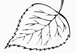 Large Fall Leaves Coloring Pages Free Printable Leaf Coloring Pages for Kids